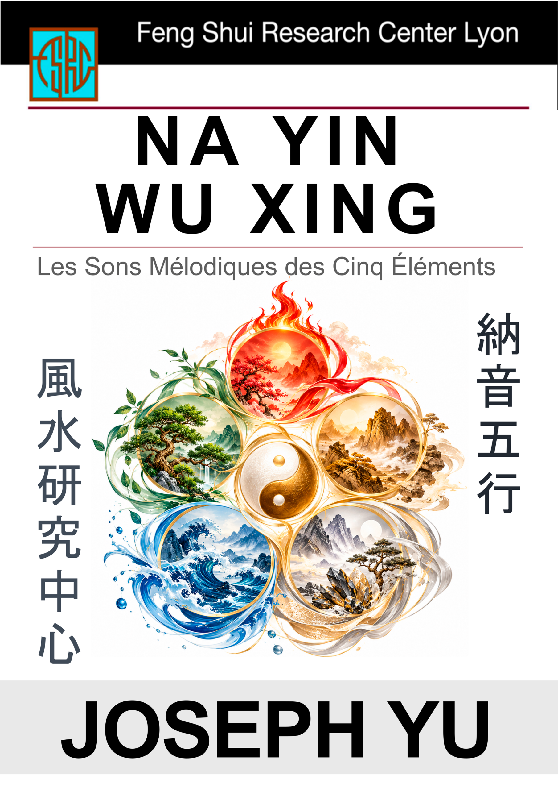 Le livre NA YIN WU XING
