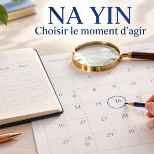 "Que sont les LES NA YIN"