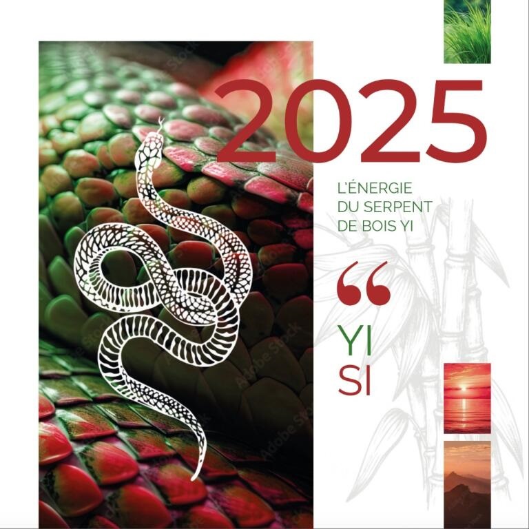 Conférence Zoom : Année 2025,  Sous l’influence du Serpent de Bois Yin