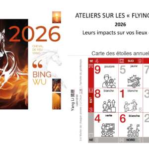 Conseils annuels FENG SHUI - Étoiles volantes 2026 - Module 1